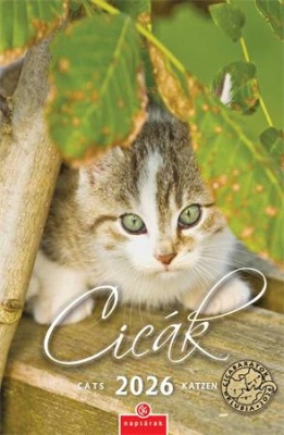 Naptár, fali, CSG, "Cicák"