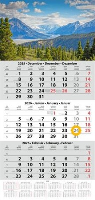 Naptár, speditőr, három hónapos, három tömbös, DAYLINER